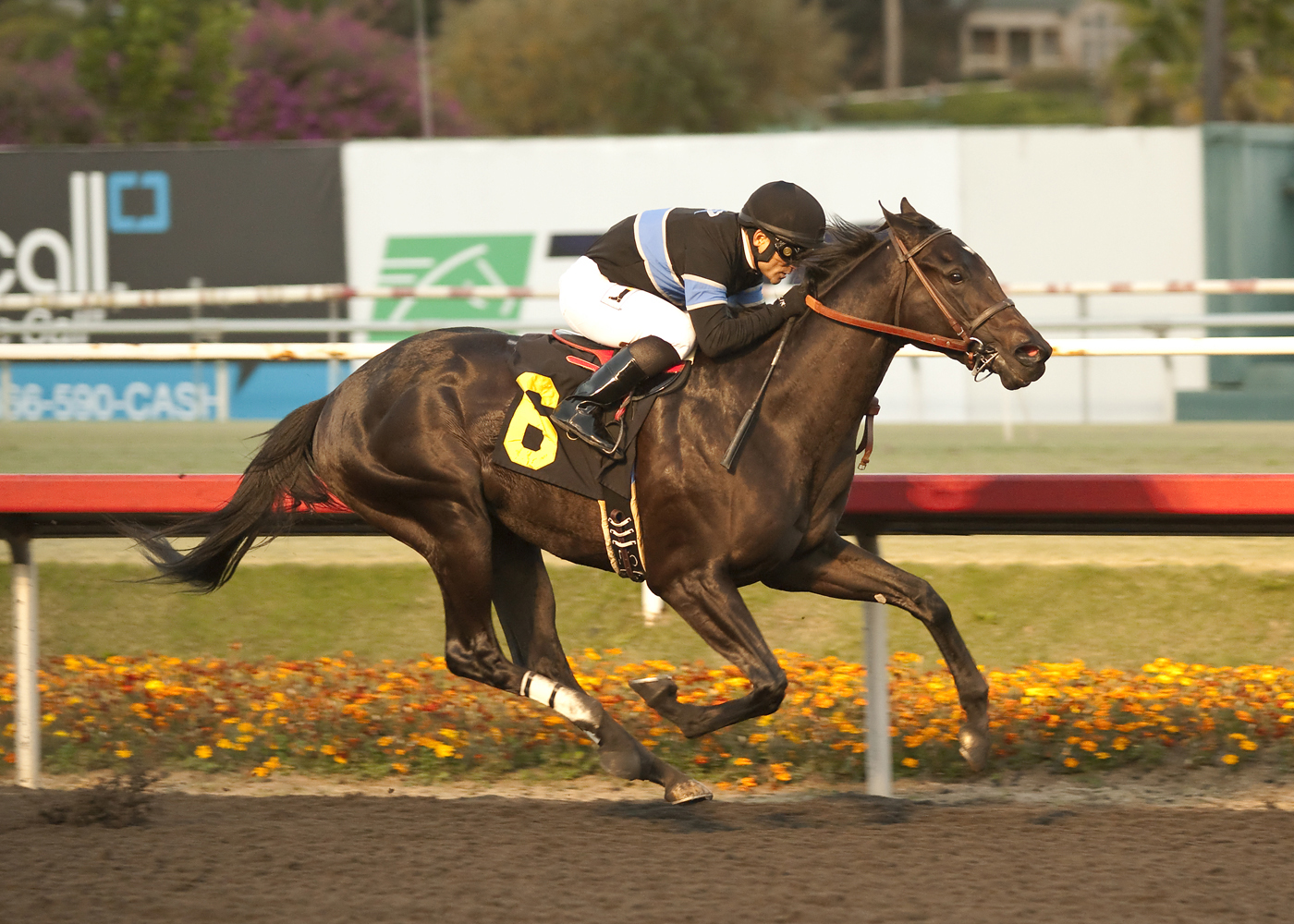 Shared Belief