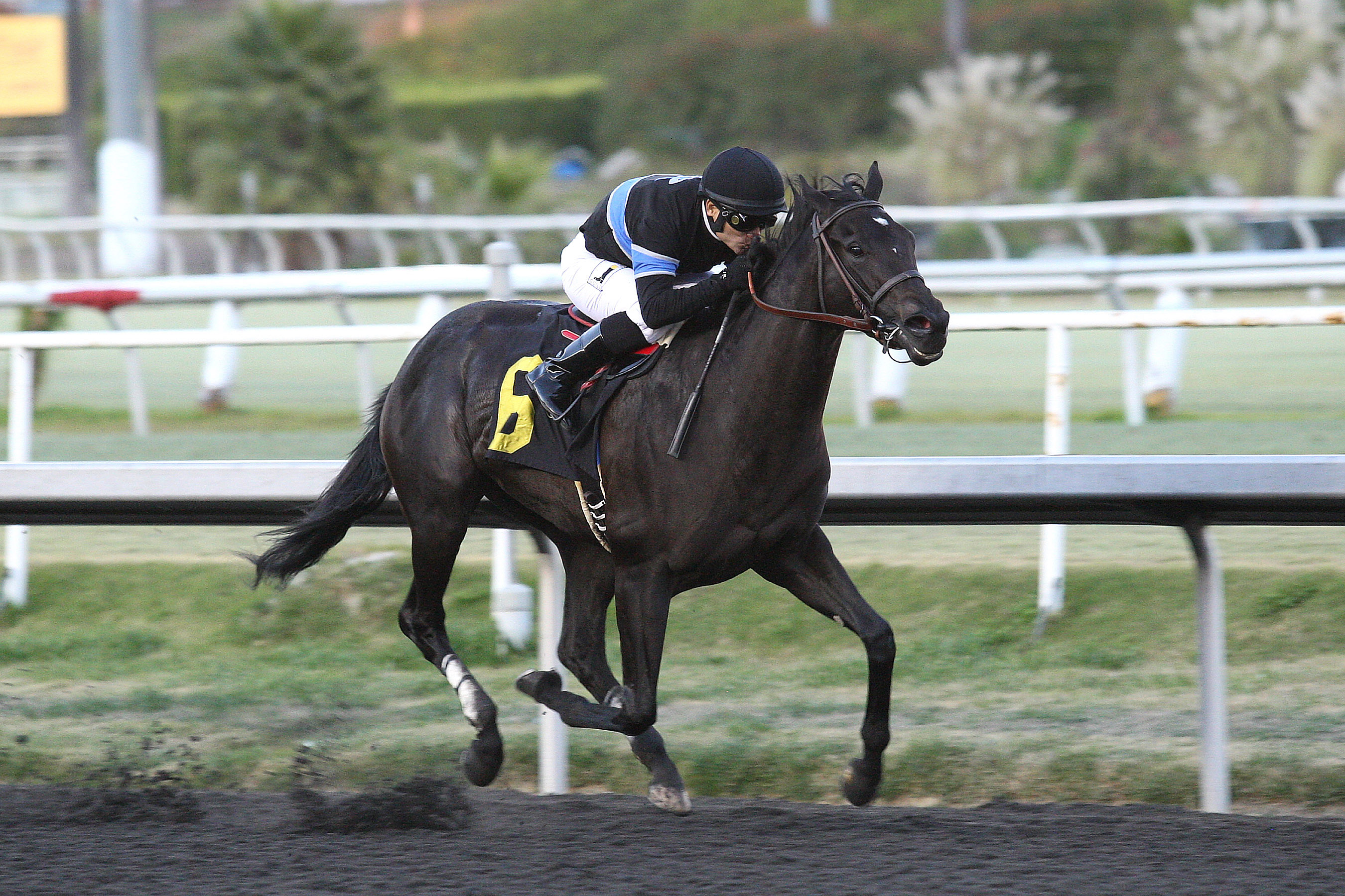 Shared Belief