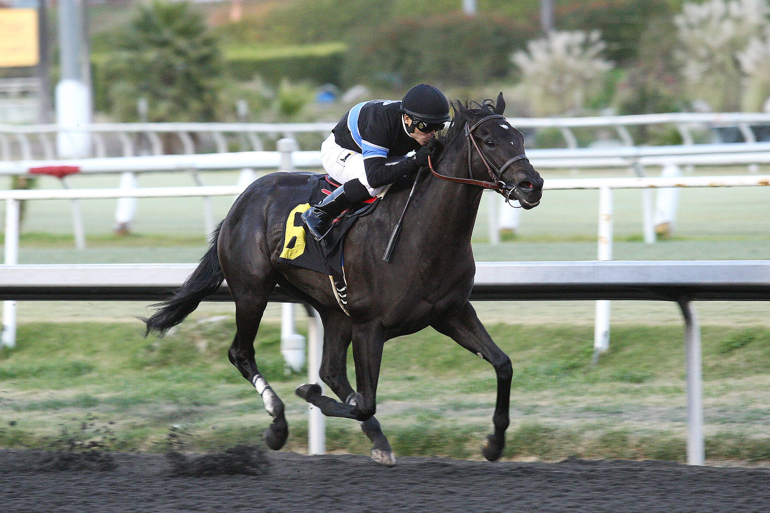 Shared Belief wins the CashCall Futurity