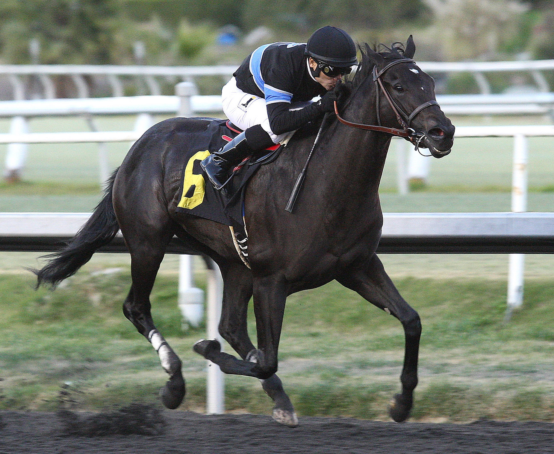Shared Belief wins the CashCall Futurity