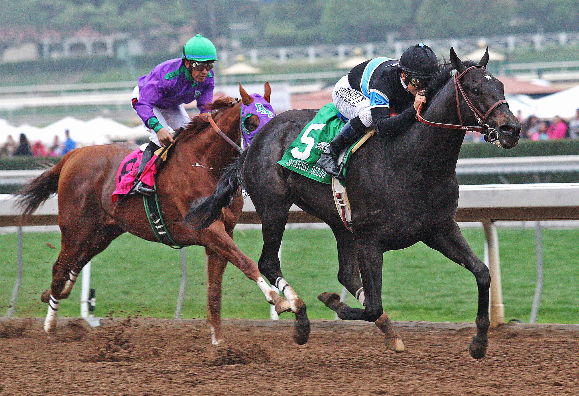 Shared Belief wins the San Antonio Stakes