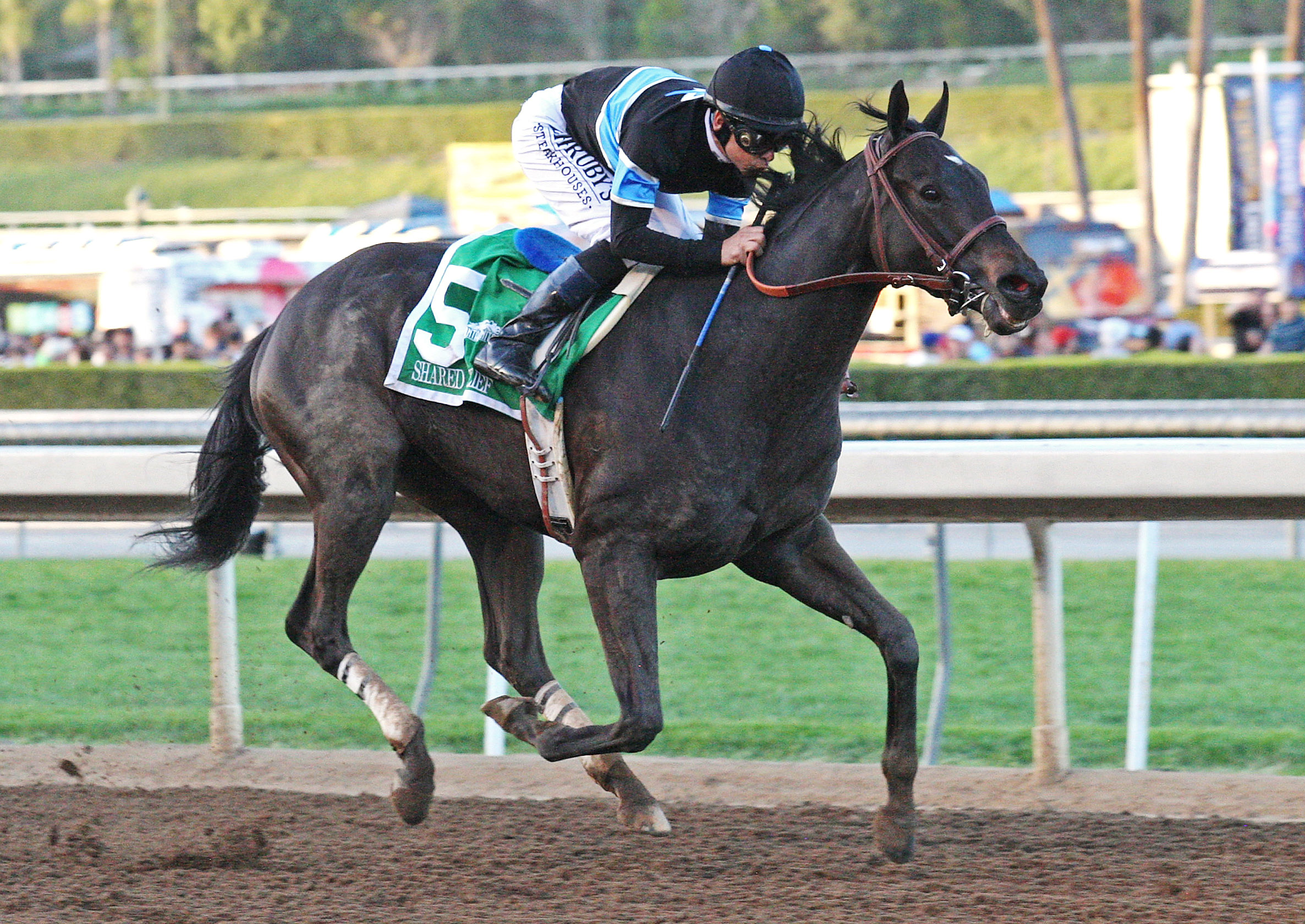 Shared Belief wins the Santa Anita Handicap