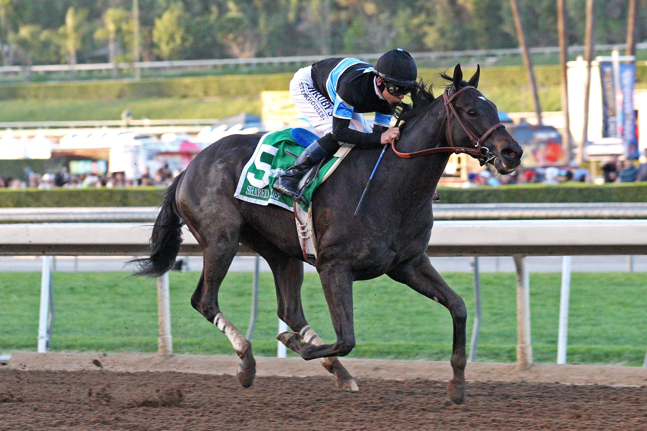 Shared Belief wins the Santa Anita Handicap