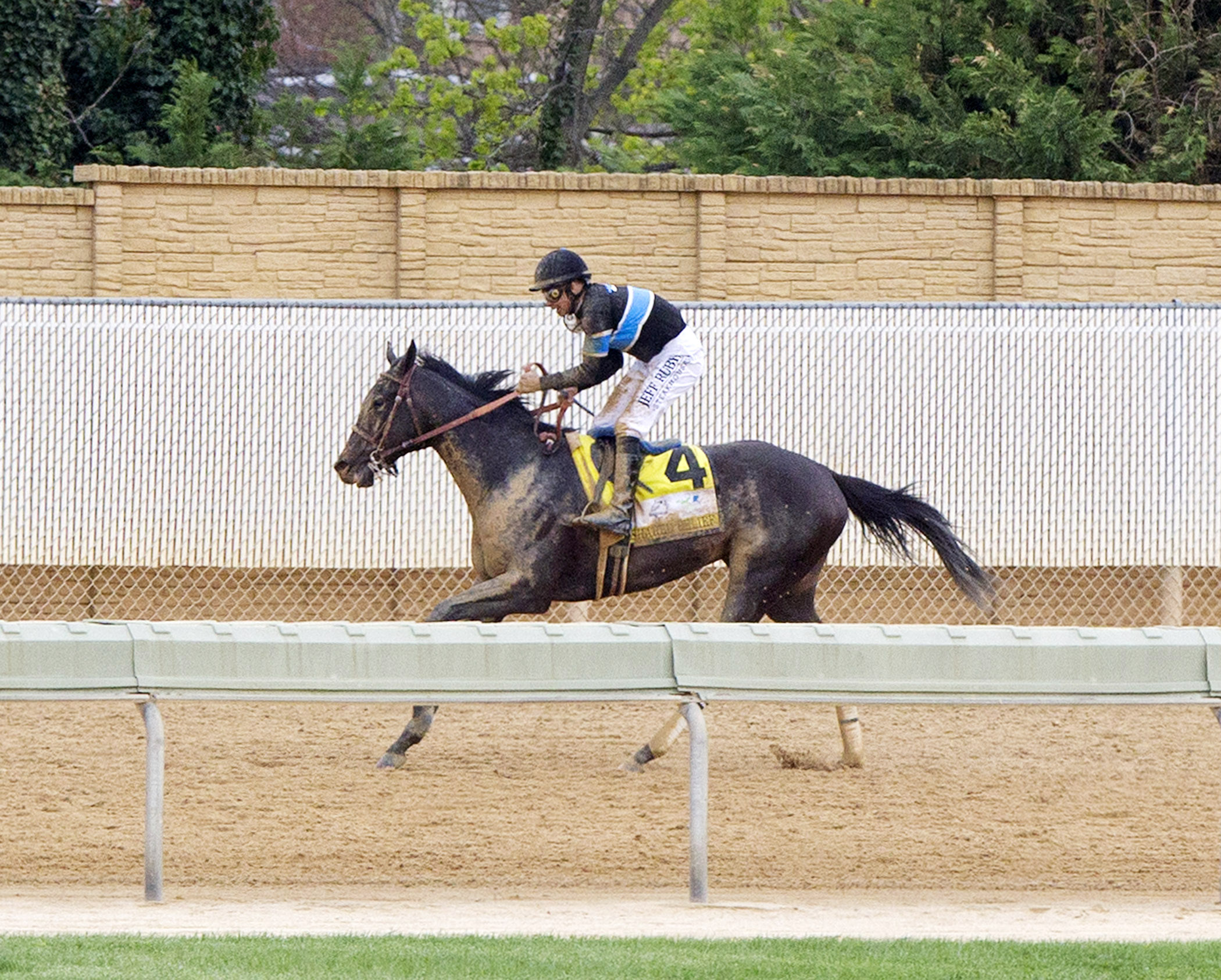 Shared Belief in the Charles Town Classic