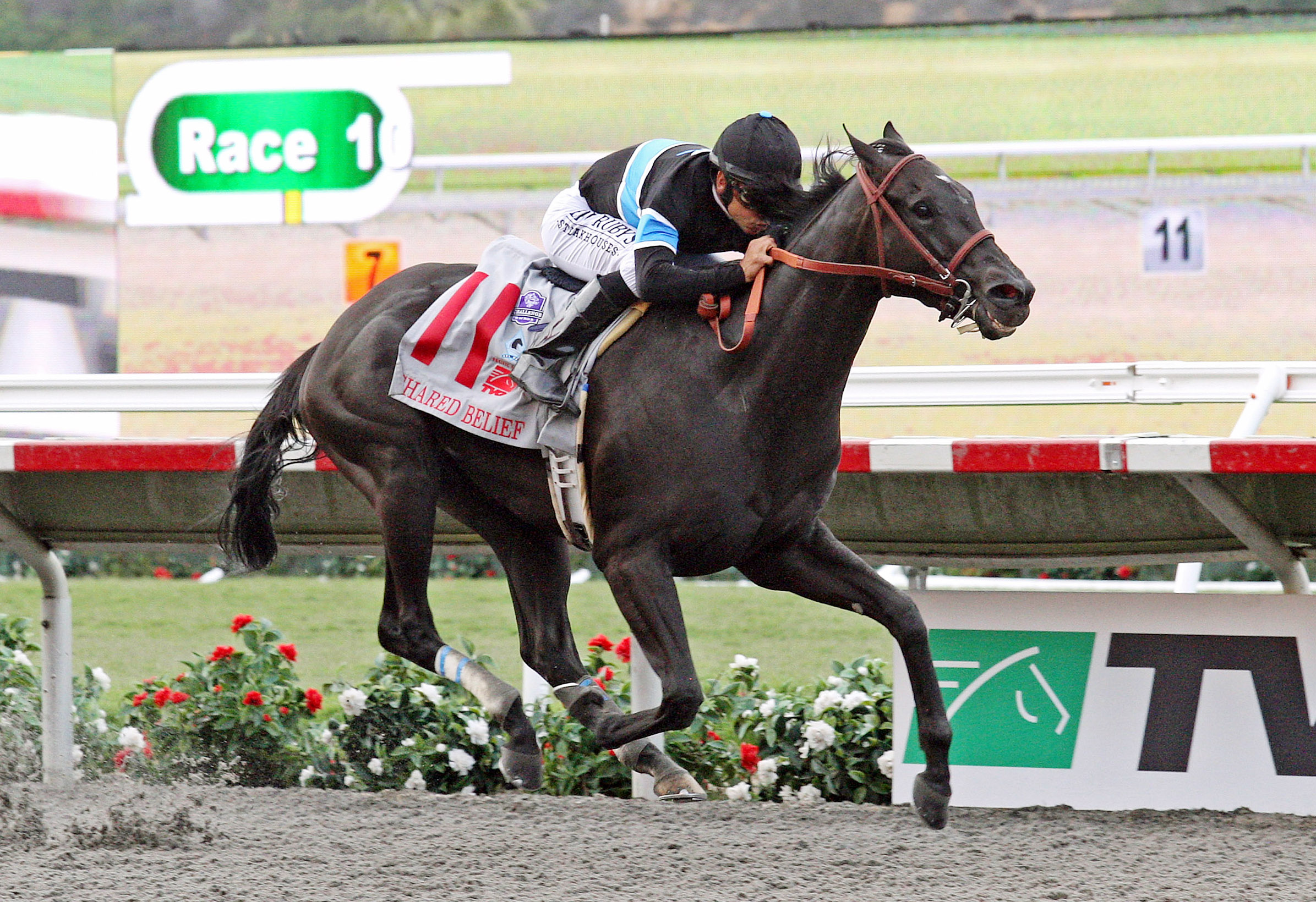 Shared Belief wins the Pacific Classic