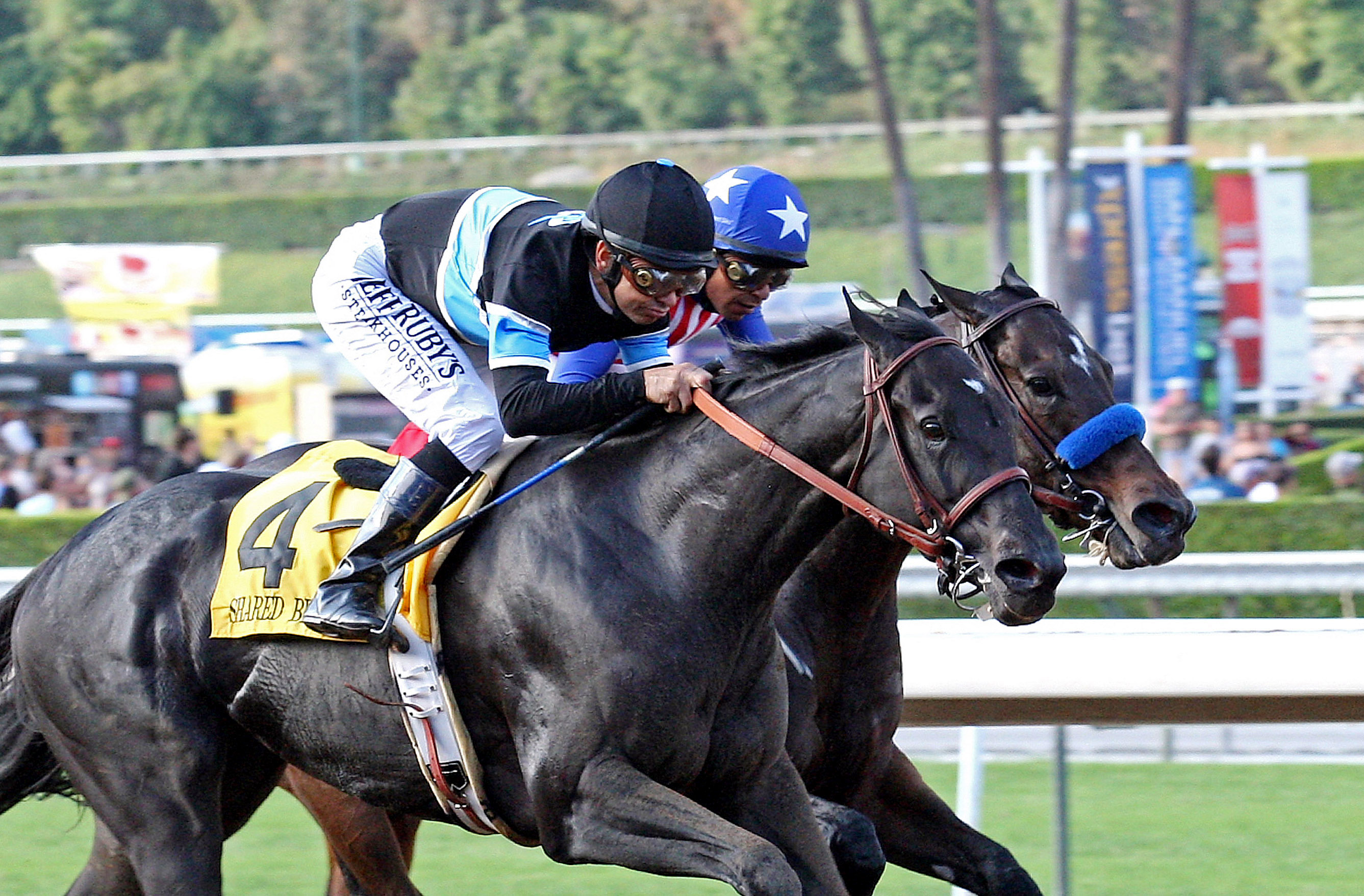 Shared Belief wins the Awesome Again