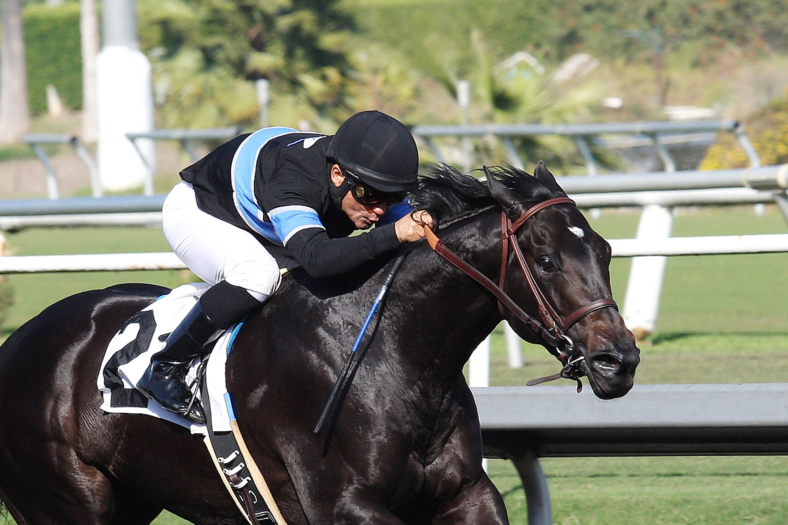 Shared Belief wins the Hollywood Prevue