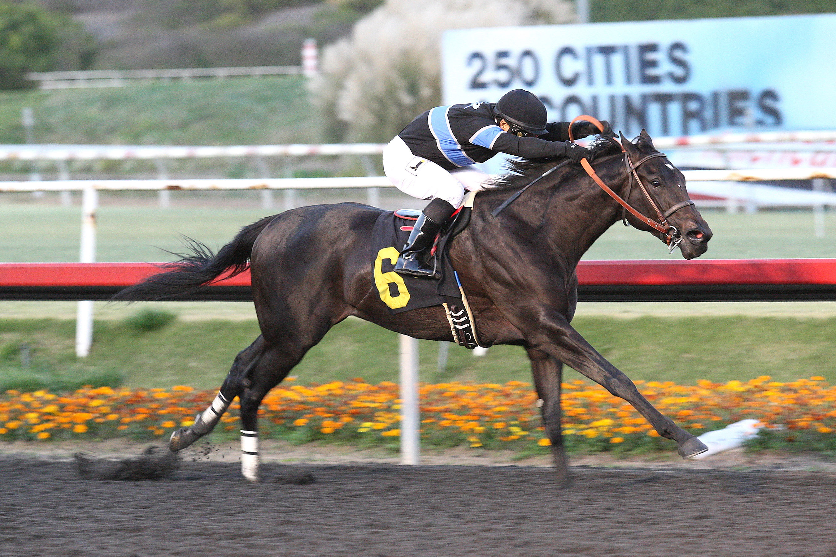 Shared Belief wins the CashCall Futurity