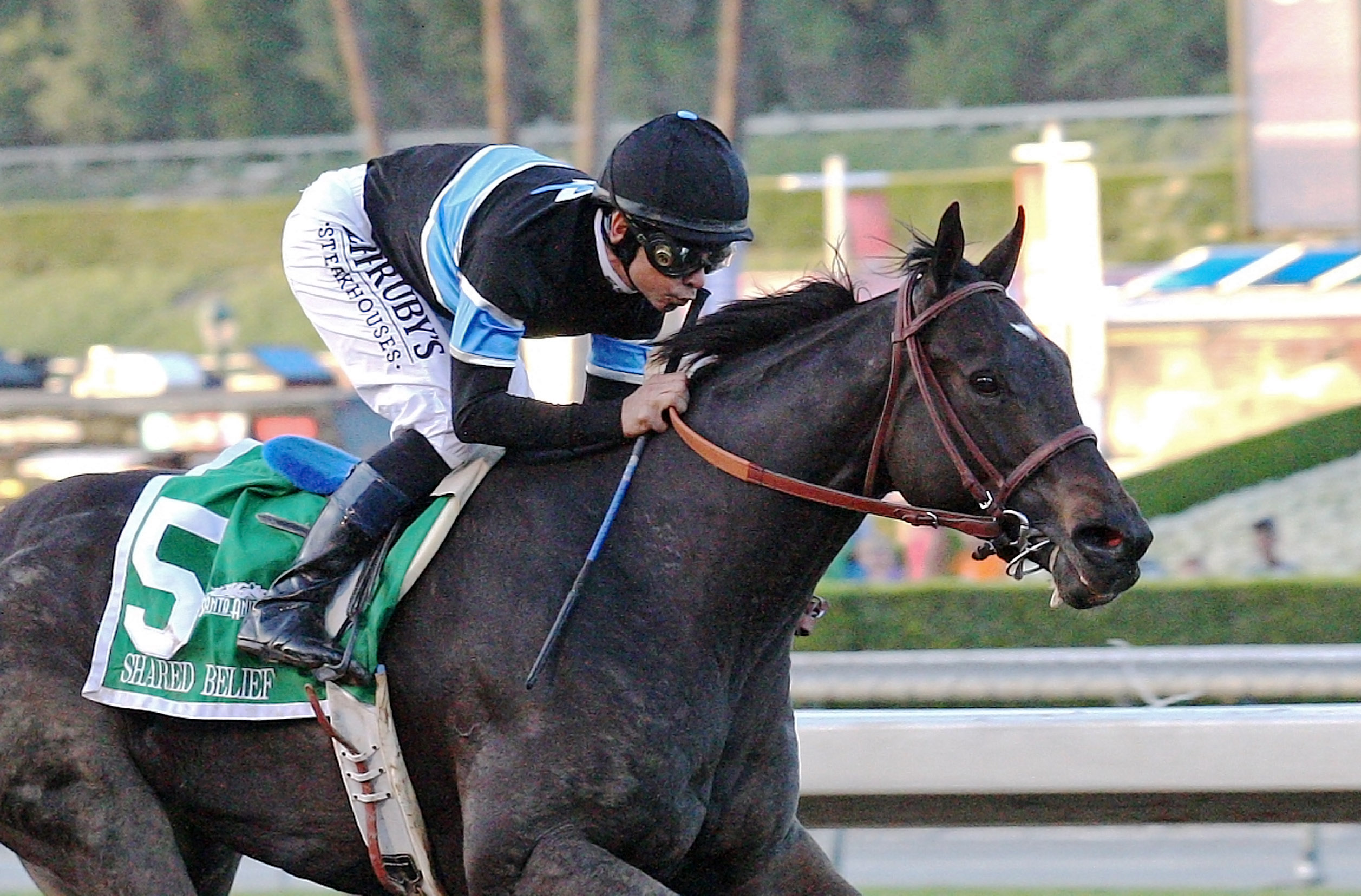 Shared Belief wins the Santa Anita Handicap