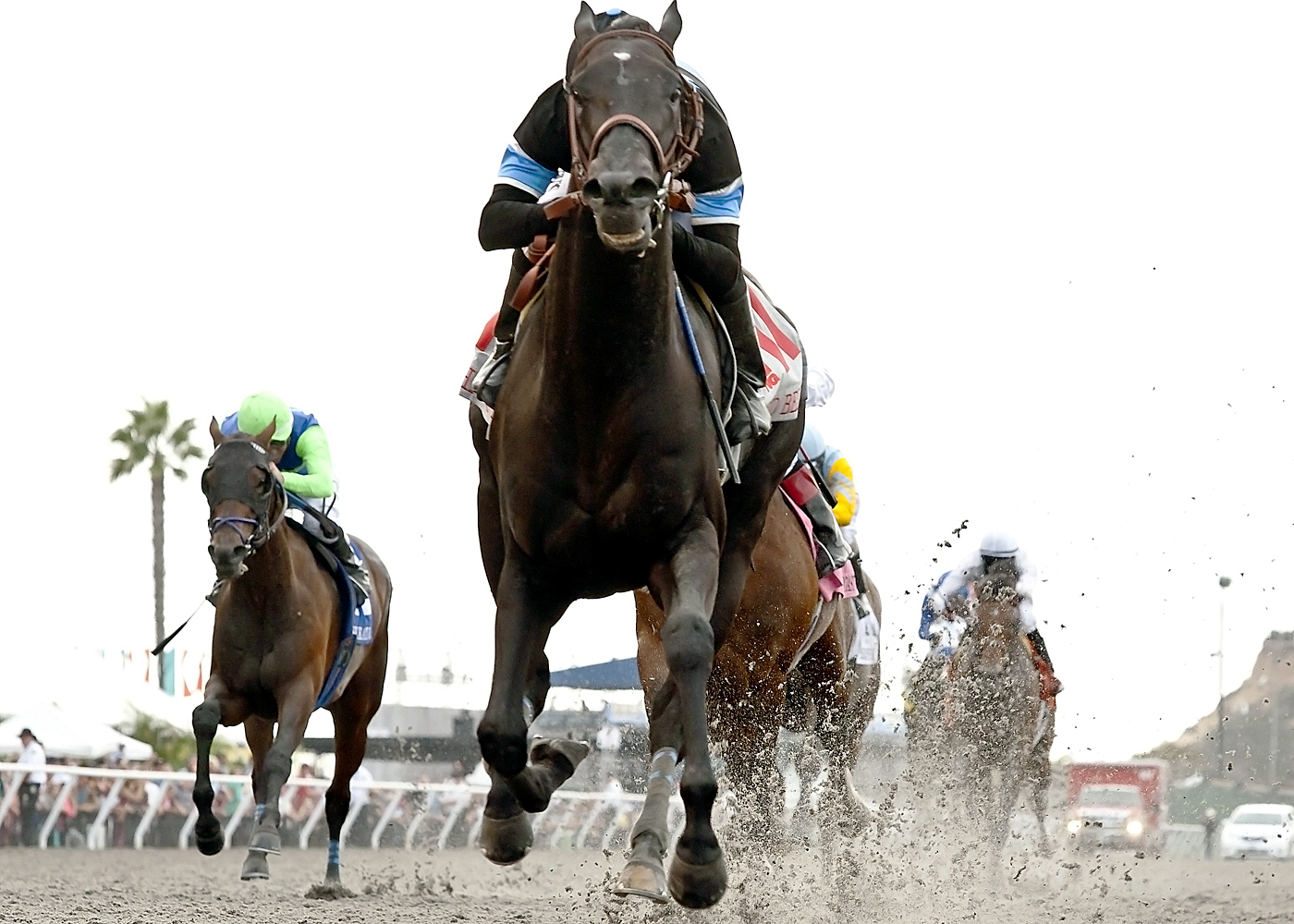 Shared Belief wins the Pacific Classic
