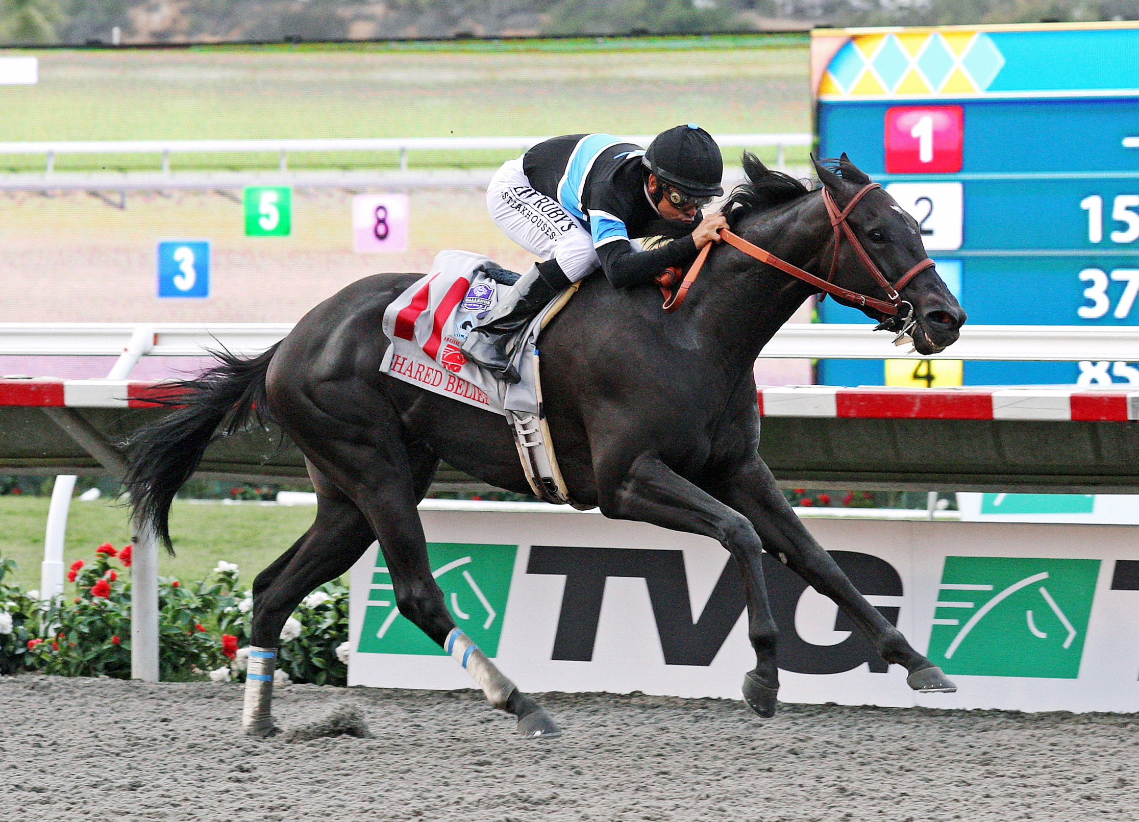 Shared Belief wins the Pacific Classic