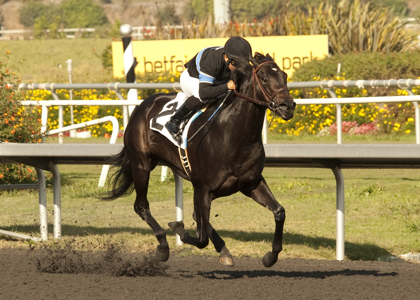 Shared Belief