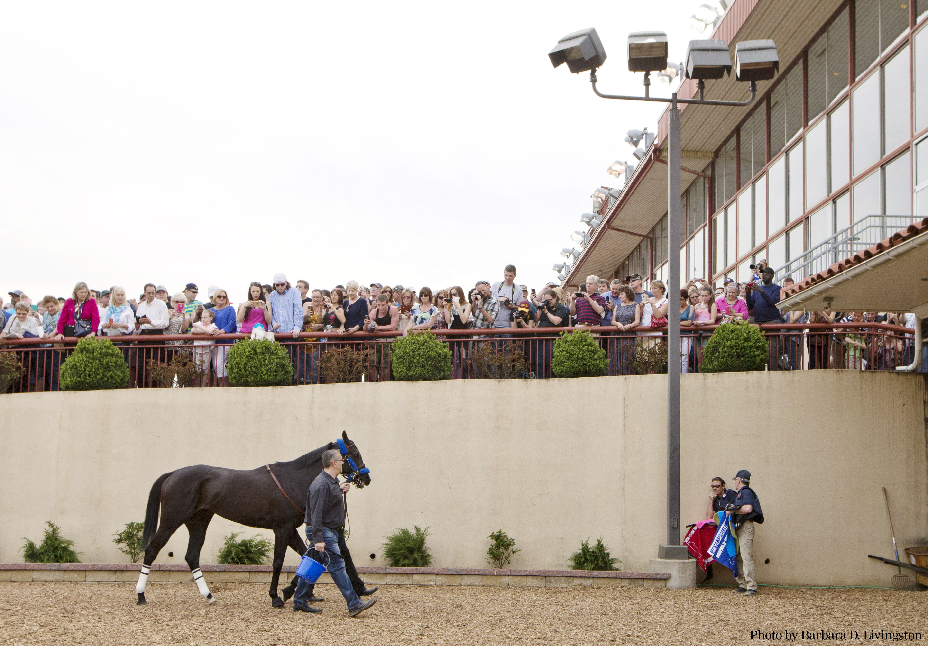 Shared Belief at Charles Town