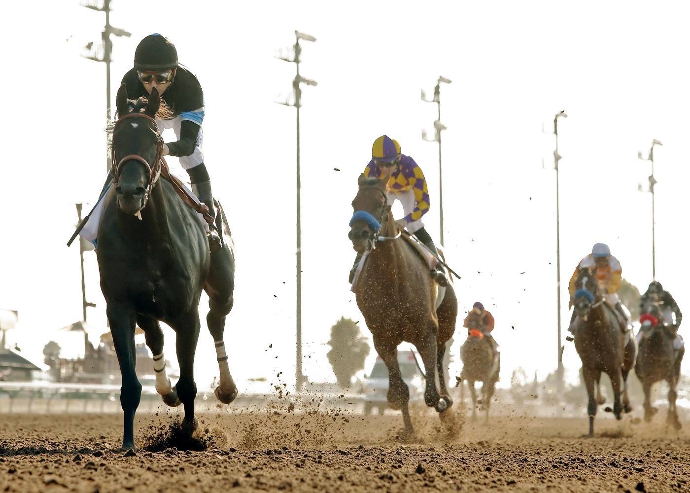 Shared Belief wins the Los Alamitos Derby