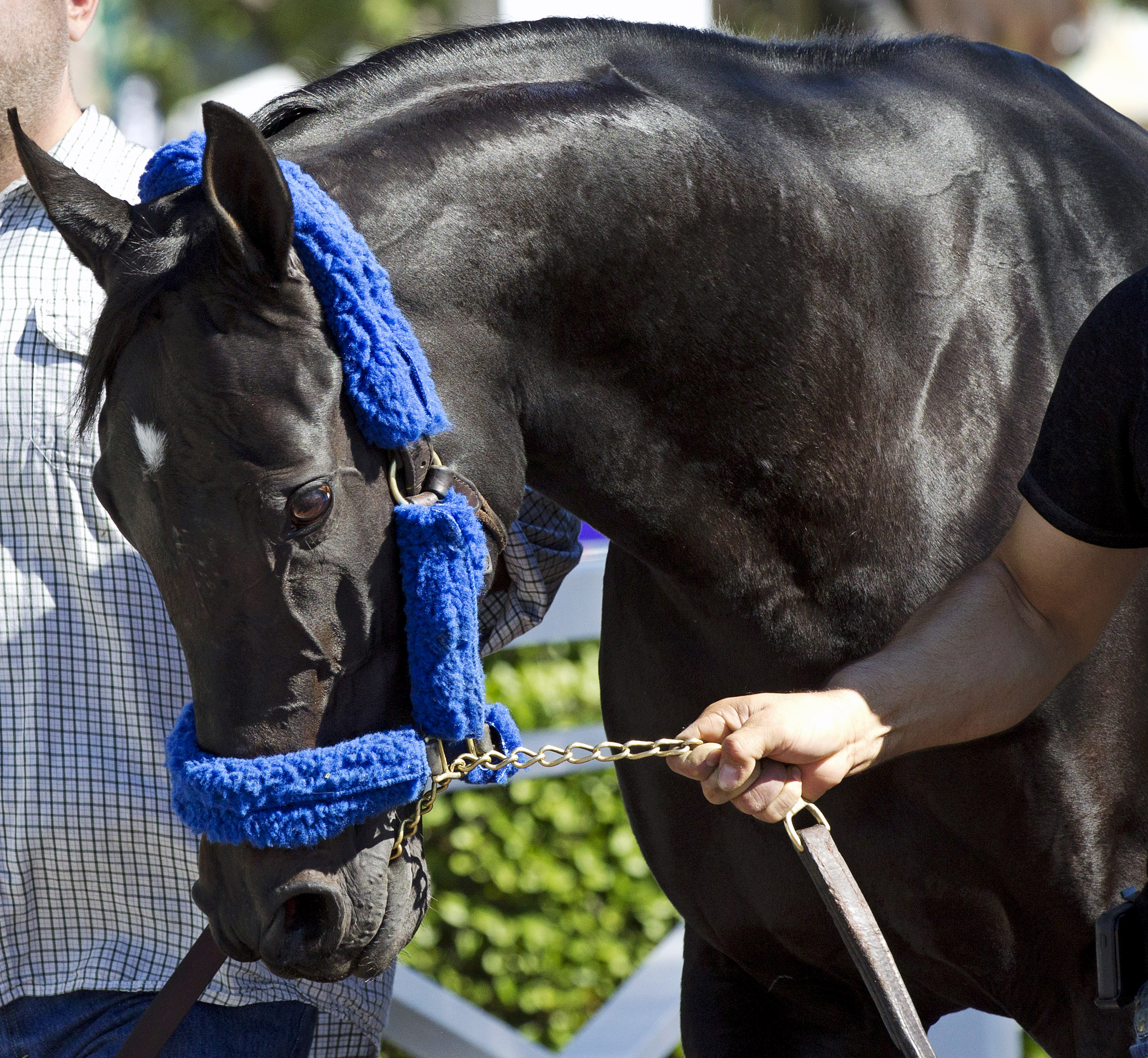 Shared Belief