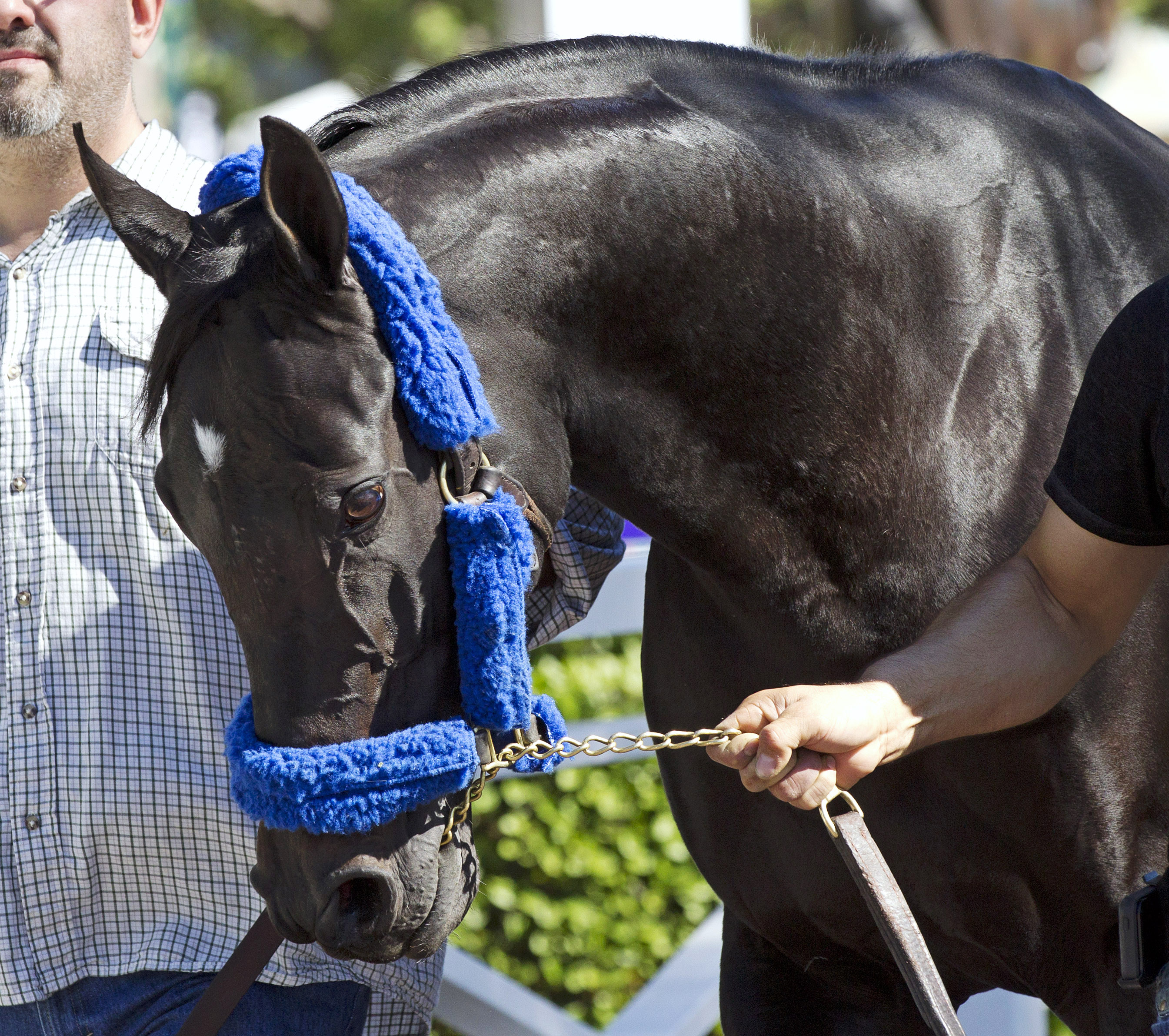 Shared Belief