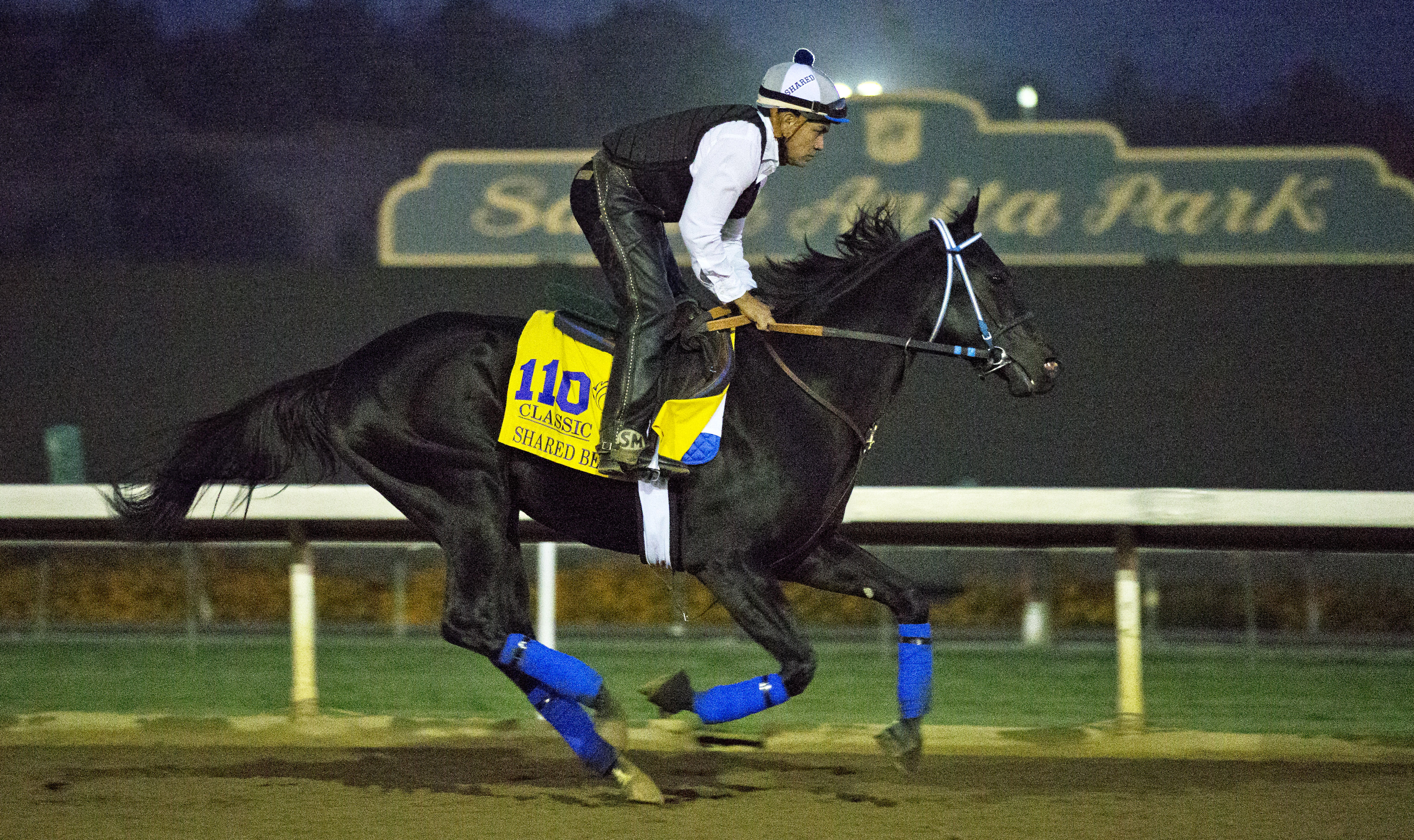 Shared Belief training at Santa Anita on Oct. 30