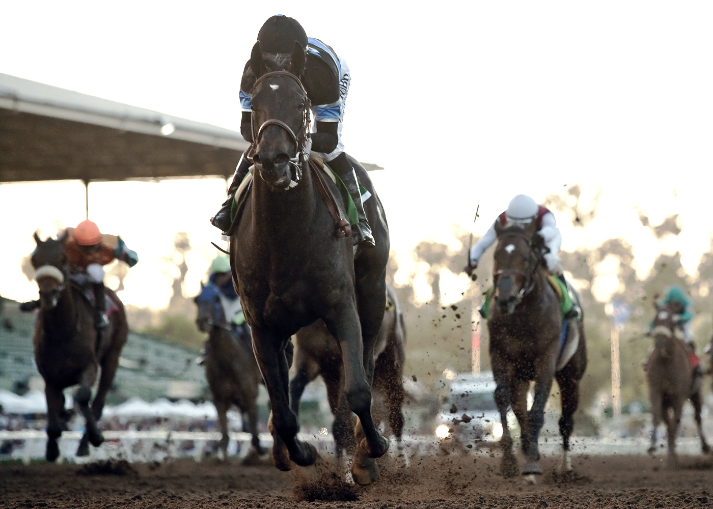 Shared Belief wins the Santa Anita Handicap