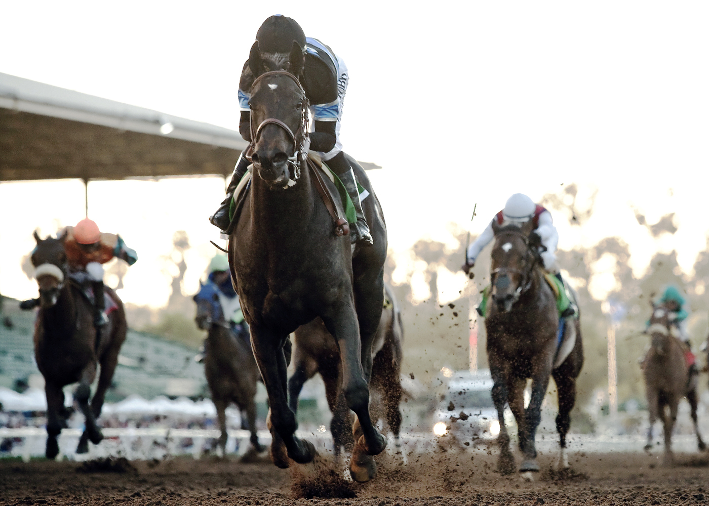 Shared Belief wins the Santa Anita Handicap