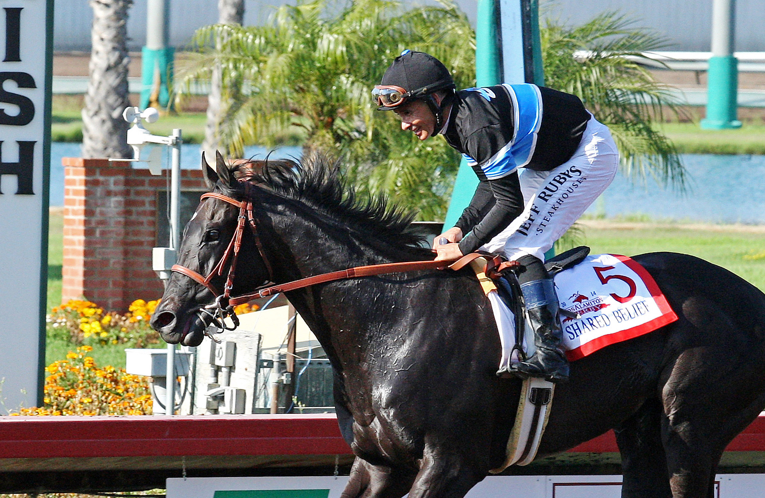 Shared Belief with Mike Smith up
