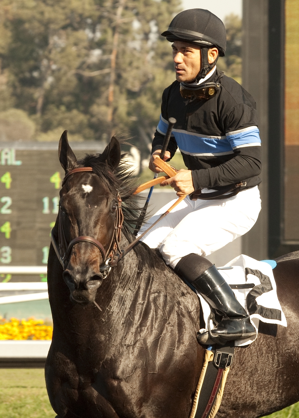 Shared Belief after the CashCall Futurity