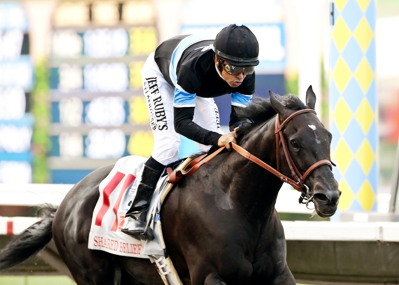 Shared Belief wins the Pacific Classic
