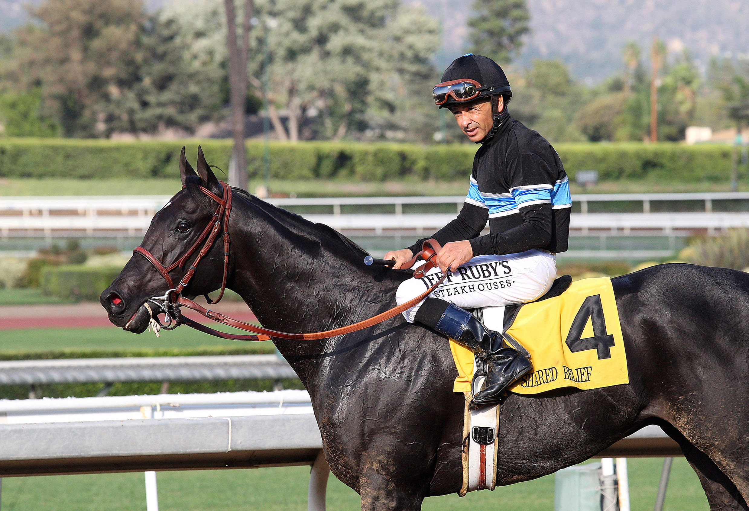 Shared Belief