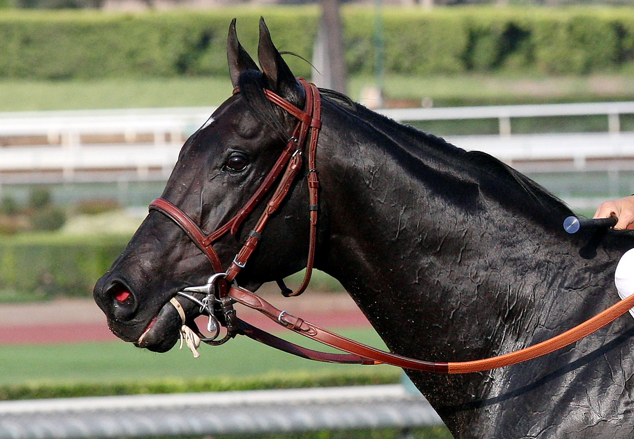 Shared Belief