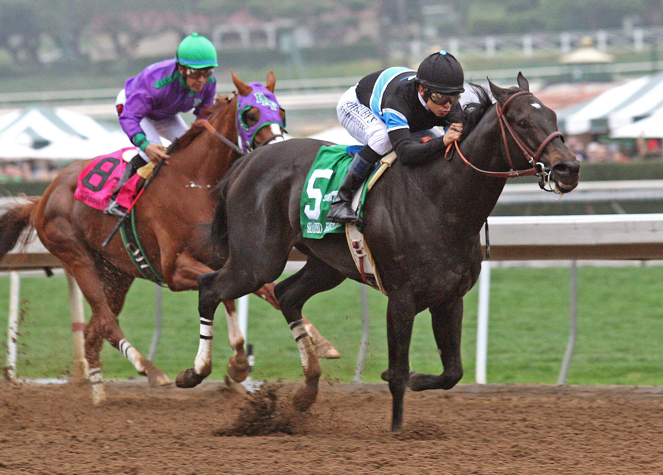 Shared Belief wins the San Antonio Stakes