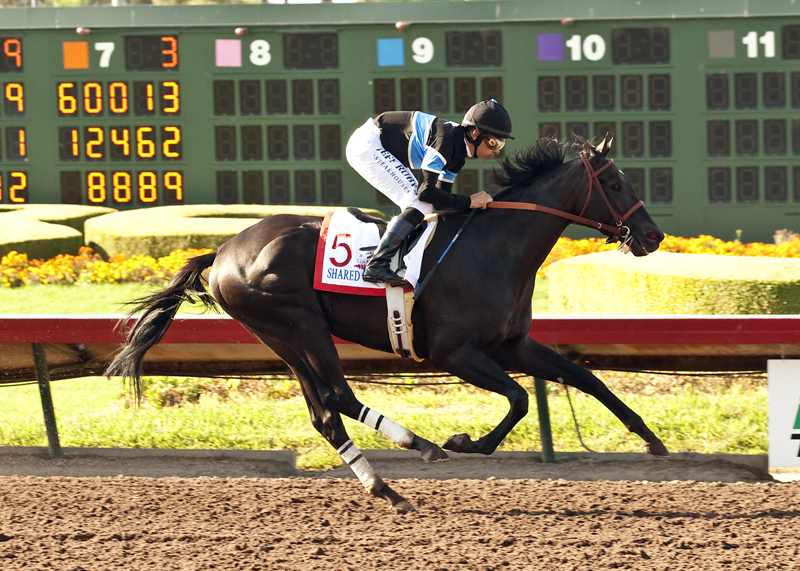 Shared Belief 7-5-2014