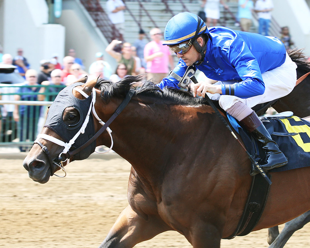 Shared Sense wins the 2021 Tri-State Overnight Stakes at Ellis Park