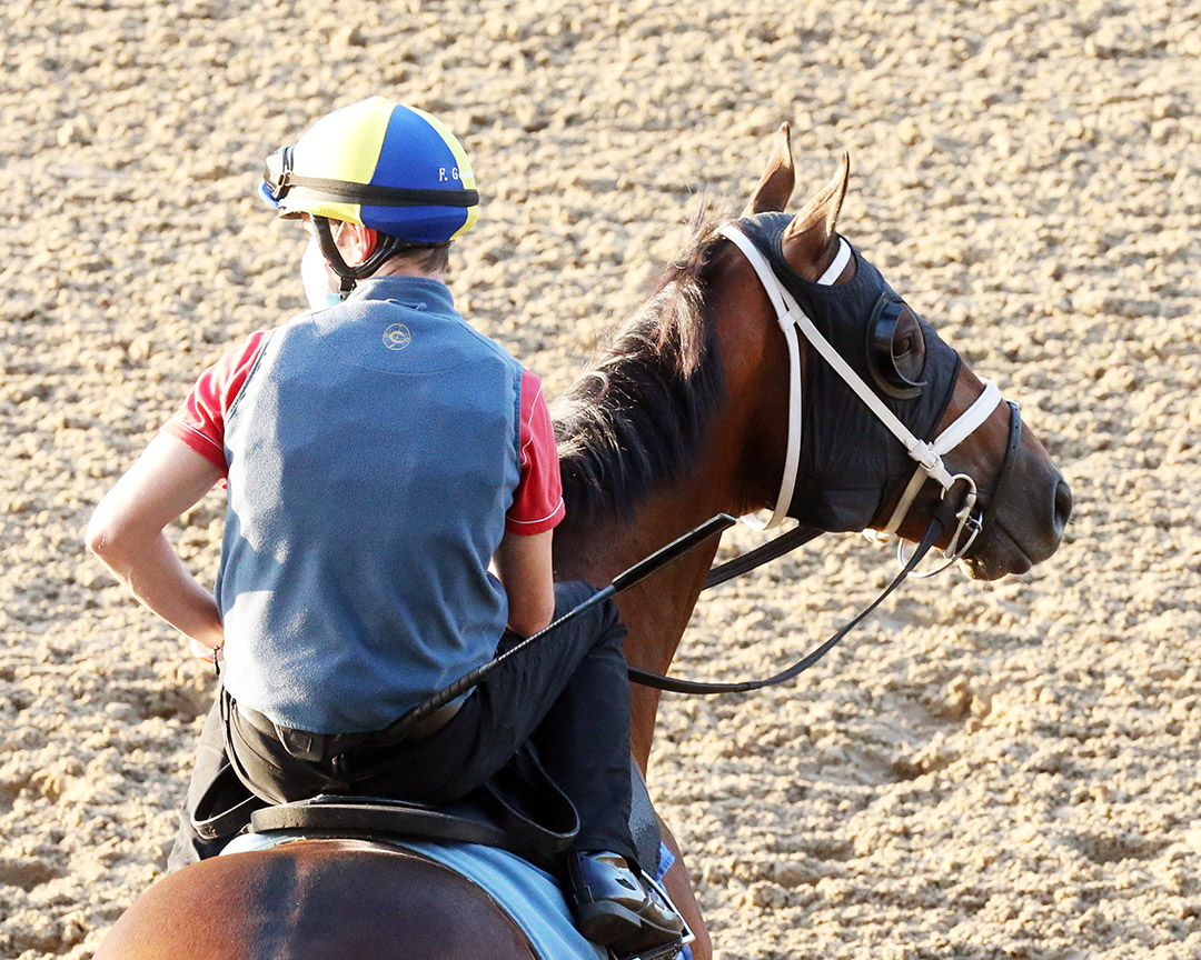 Shared Sense at Churchill in August 2020