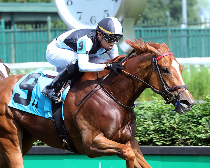 Sharing wins the 2020 Tepin Stakes at Churchill Downs