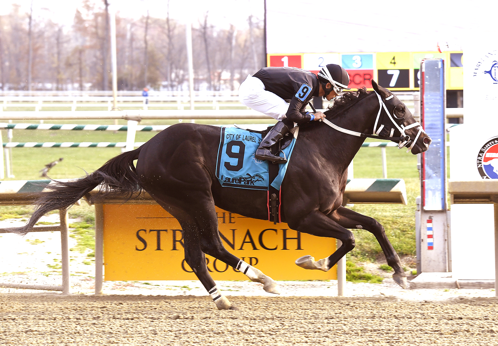Sharp Azteca wins the City of Laurel