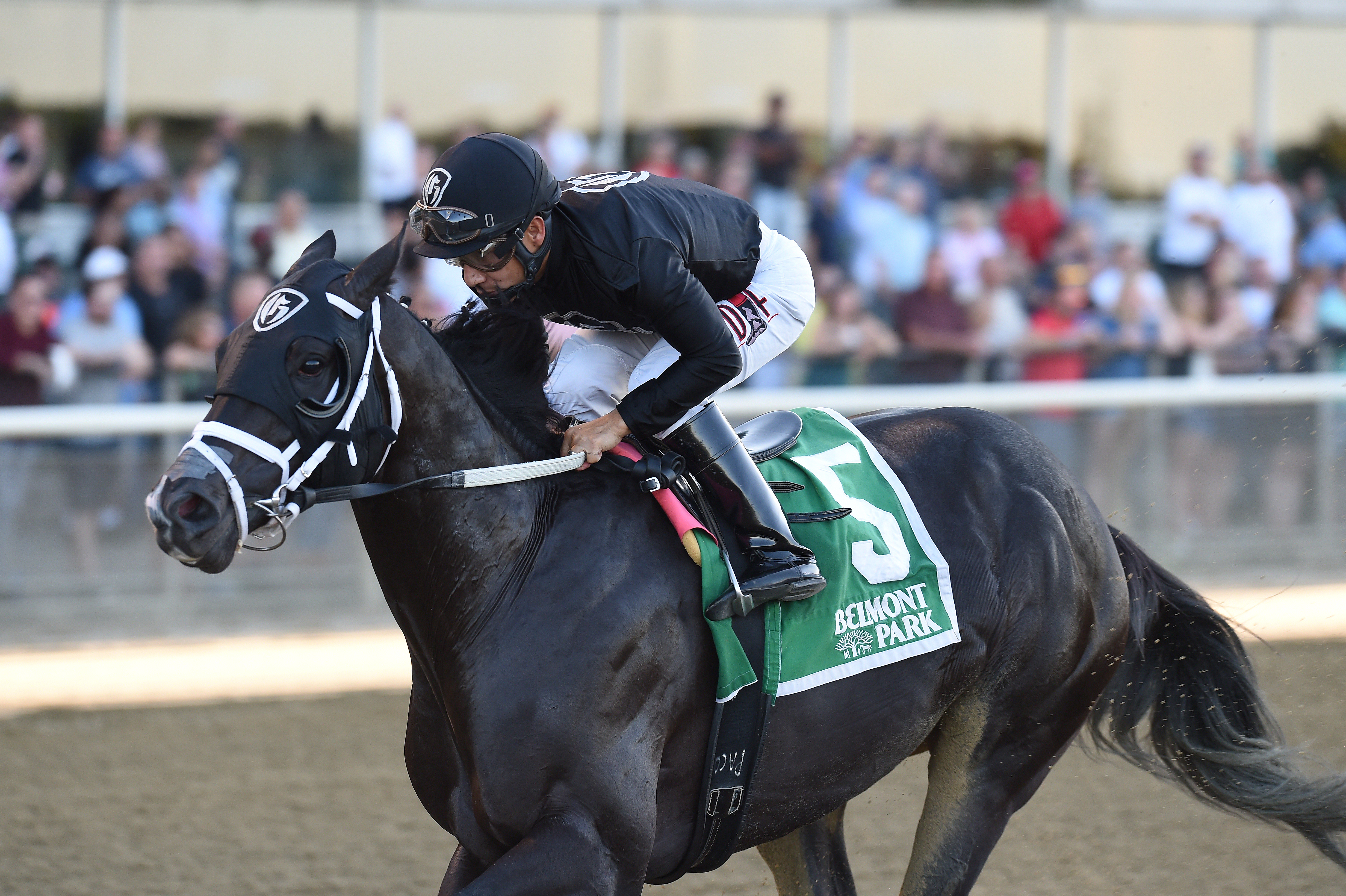 Sharp Azteca wins the 2017 Kelso Handicap