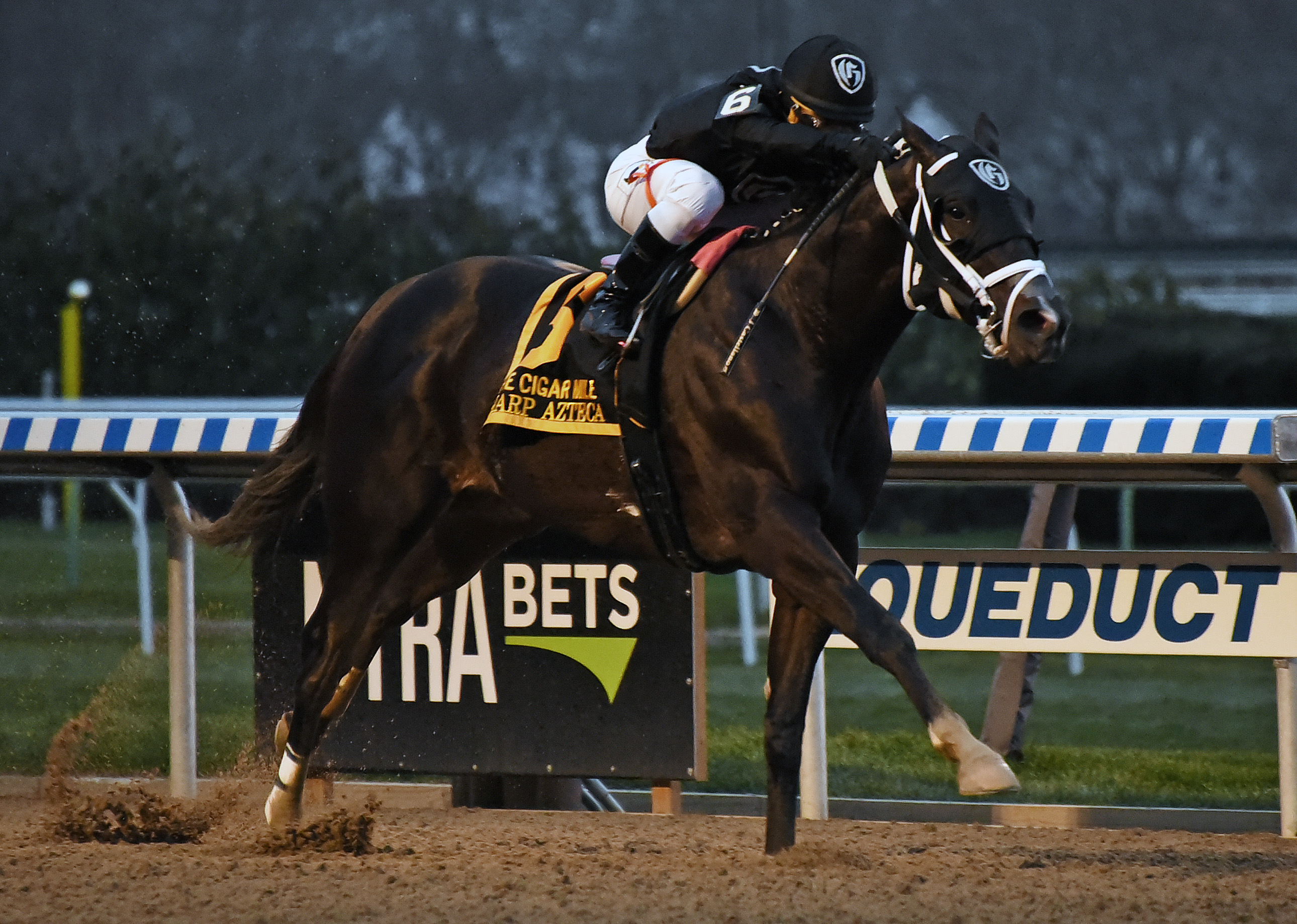 Sharp Azteca wins the 2017 Cigar Mile