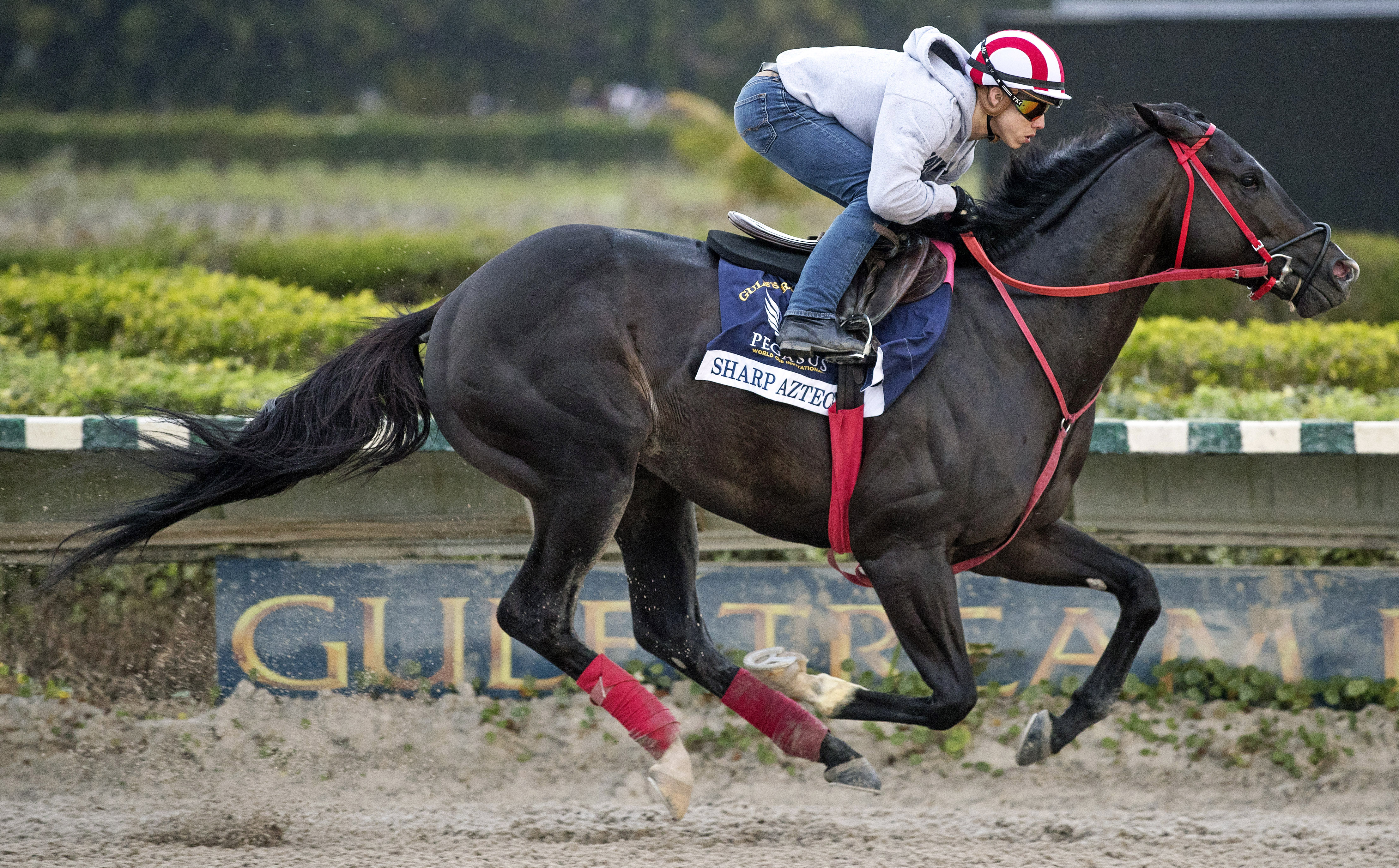 Sharp Azteca trains on Jan. 20