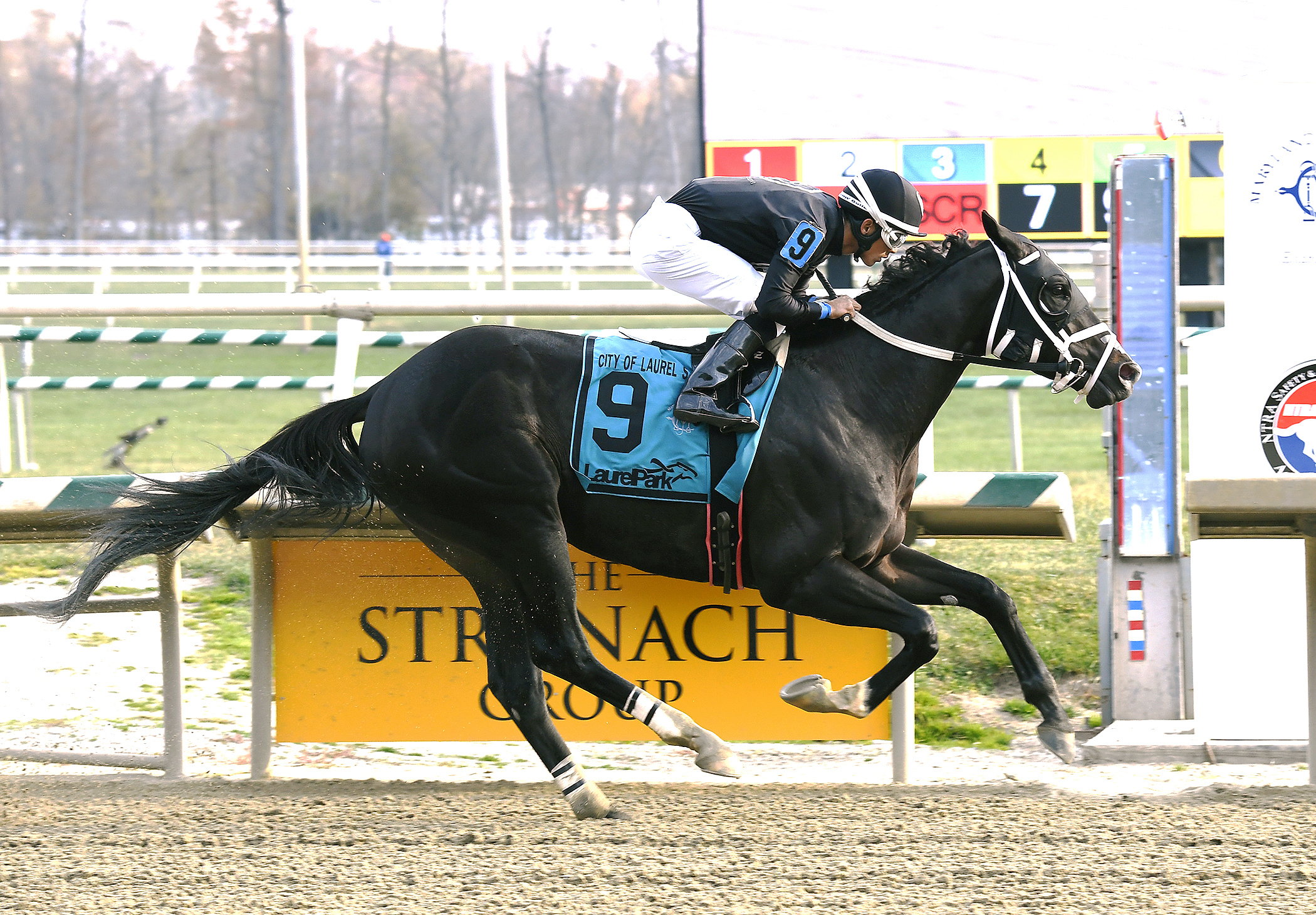 Sharp Azteca wins the City of Laurel Stakes