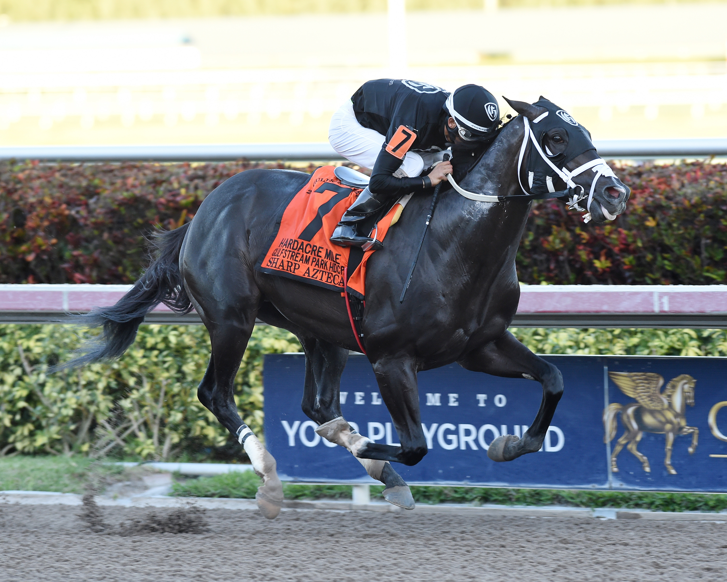 Sharp Azteca wins the Gulfstream Park Handicap