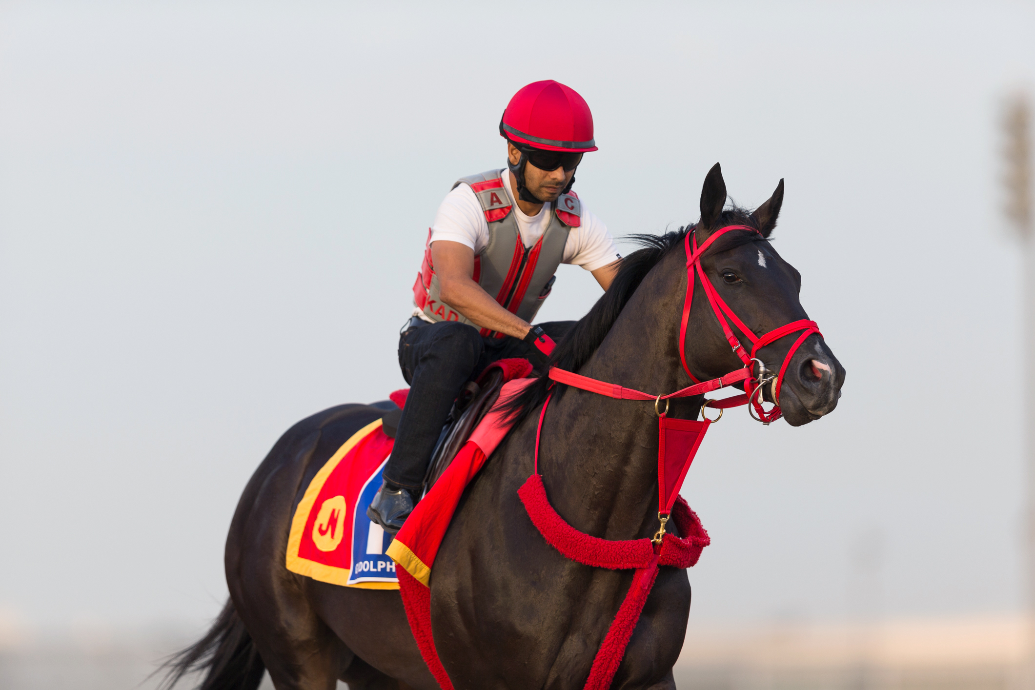 Sharp Azteca at Meydan Racecourse