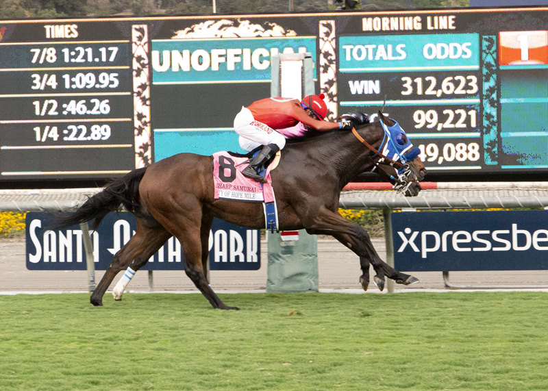 Sharp Samurai wins the 2018 City of Hope Mile