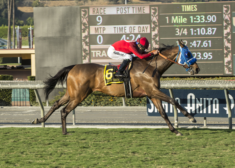 Sharp Samurai wins the 2017 Twilight Derby
