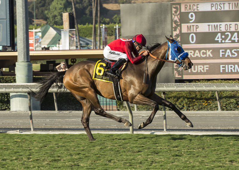 Sharp Samurai wins Twilight Derby