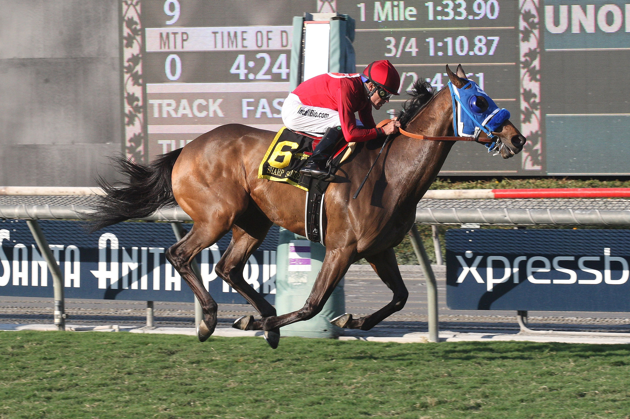Sharp Samurai wins the 2017 Twilight Derby