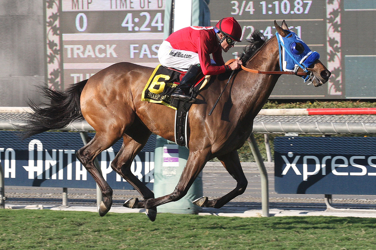 Sharp Samurai wins the 2017 Twilight Derby