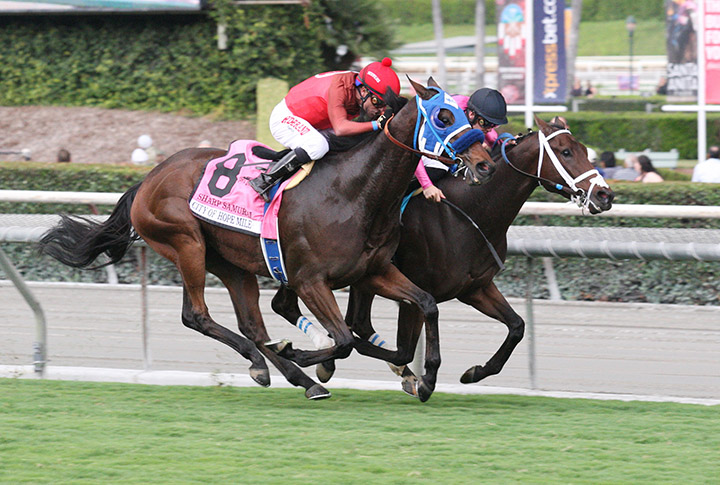 Sharp Samurai wins the City of Hope Mile