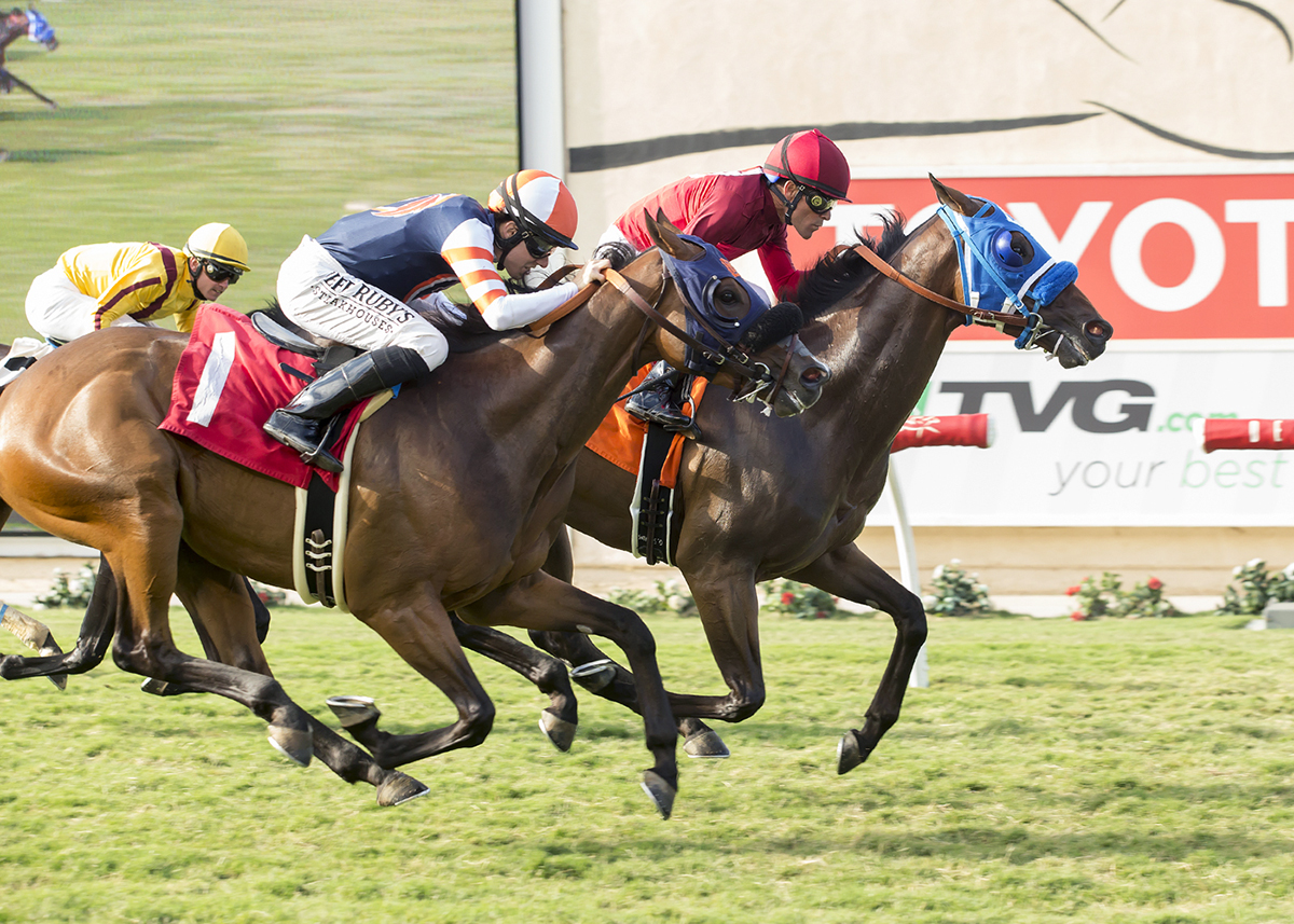 Fashion Business finishes second in the 2017 La Jolla Handicap