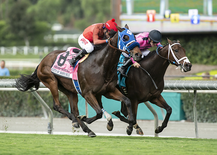 Sharp Samurai (No. 8) wins the 2018 City of Hope Mile at Santa Anita Park