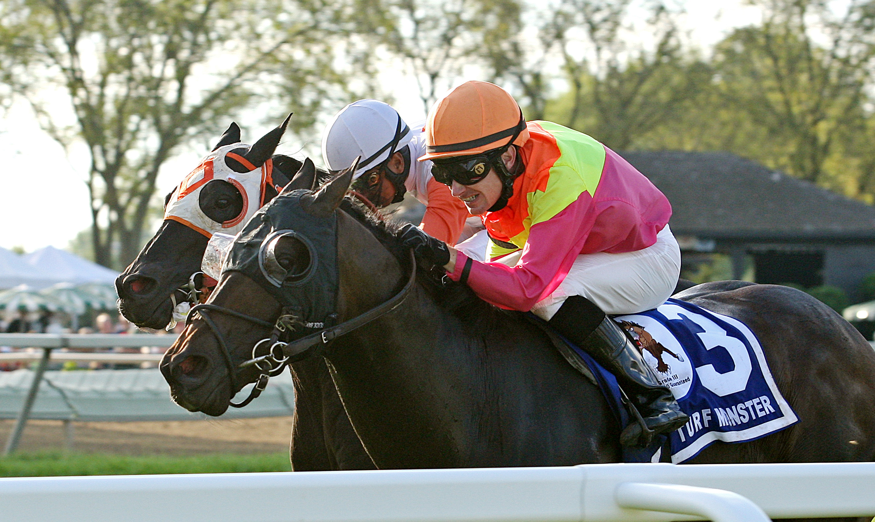 Sharp Sensation wins the Turf Monster