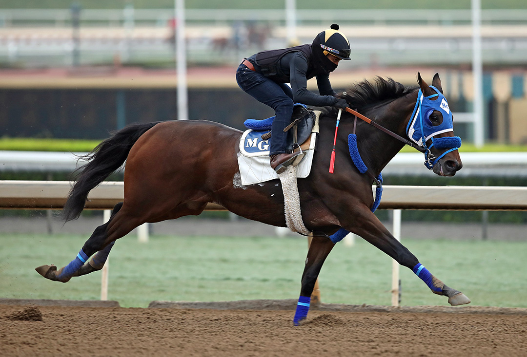 Sharp Samurai trains at Santa Anita on Sept. 26